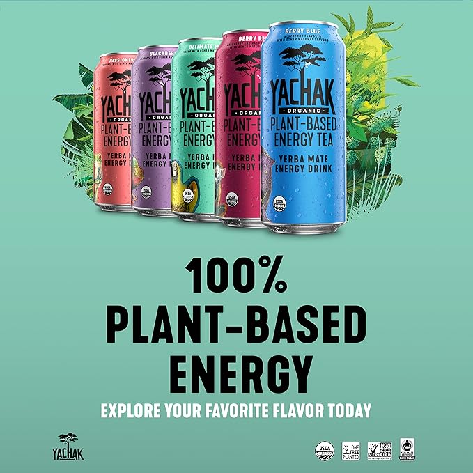 Yachak Yerba Mate Drink Blackberry 16 Fl Oz Cans Pack of 12