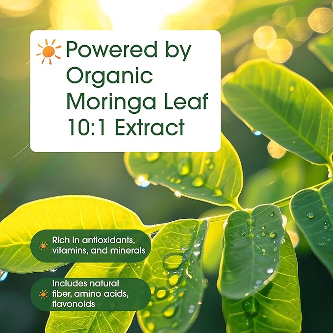 NatureBell Moringa - 240 Capsules - Organic Moringa for Immune Energy &amp Skin Health Support* - Green Superfood Properties