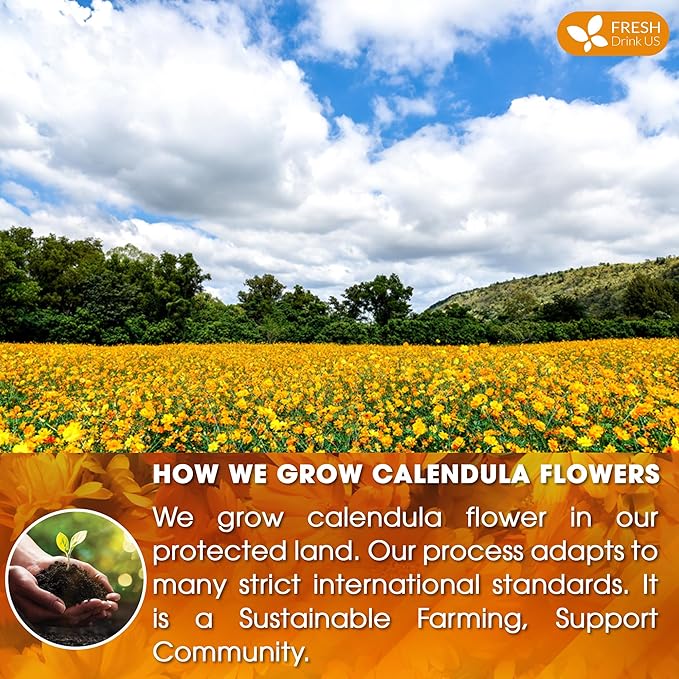FreshDrinkUS Premium 135 Calendula Tea Bags 100% Natural and Pure Calendula Flowers Eco-conscious Tea Bags. Herbal Tea. No Sugar No Caffeine No Gluten Vegan.