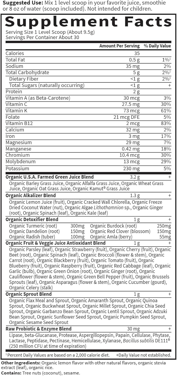 Garden of Life Raw Organic Perfect Food Alkalizer and Detoxifier Lemon Ginger Flavored Superfood Powder Supplement 30 Servings
