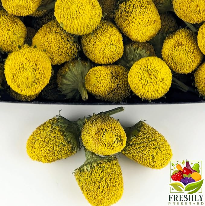 Buzz Buttons Edible Flowers for Cocktails &amp Desserts - 20 USA Grown Flowers for Drink Garnish - Freeze-dried Spilanthes/Szechuan Button/Acmella Oleracea Flowers (0.2 oz)