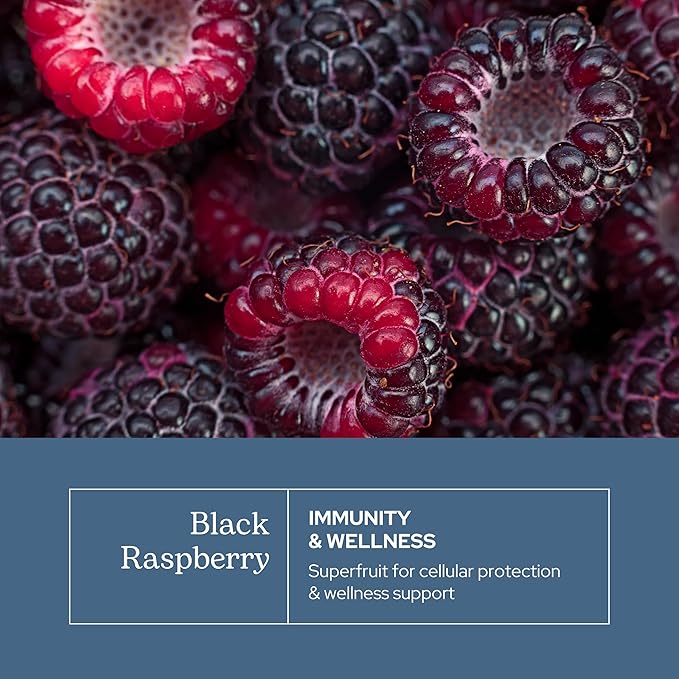 Eclectic Herb - Black Raspberry Capsules | Vegan Superfood Supplement | Nutrition Vitamins + Minerals | Antioxidant + Immune Support | US-Grown Natural Non-GMO Gluten Free (90 CT | 300 mg)