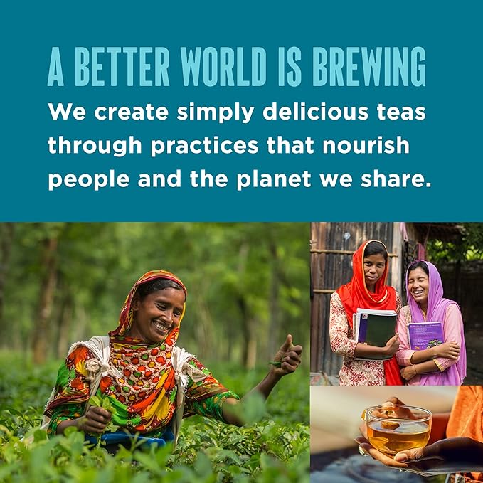 Teatulia Organic Masala Chai Tea Bags (50 Pyramid Sachet Teabags) Premium Whole Leaf. Compostable &amp Sustainably Grown In Bangladesh. Black Tea Cinnamon Cardamom Ginger Root Black Pepper Clove