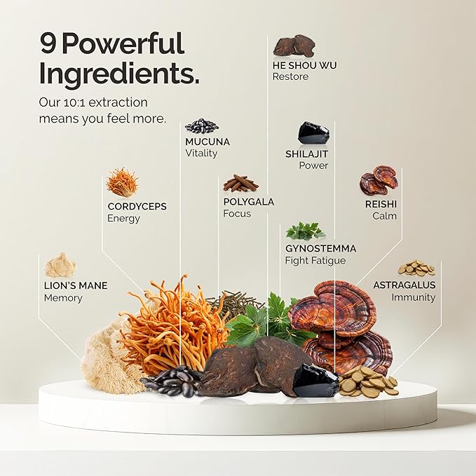 Mushroom Coffee Alternative Superfood Blend 10X Concentrated Extract with Lion’s Mane Reishi &amp Cordyceps Energy &amp Focus Support Premium Supplement Powder 30 Servings