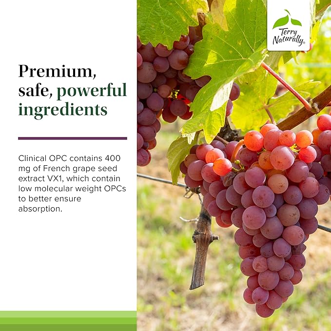 Terry Naturally Clinical OPC Extra Strength - Cardiovascular Health &amp Focus Support - Supplement with Grape Seed Extract - Immune Support Supplement - 60 Softgels