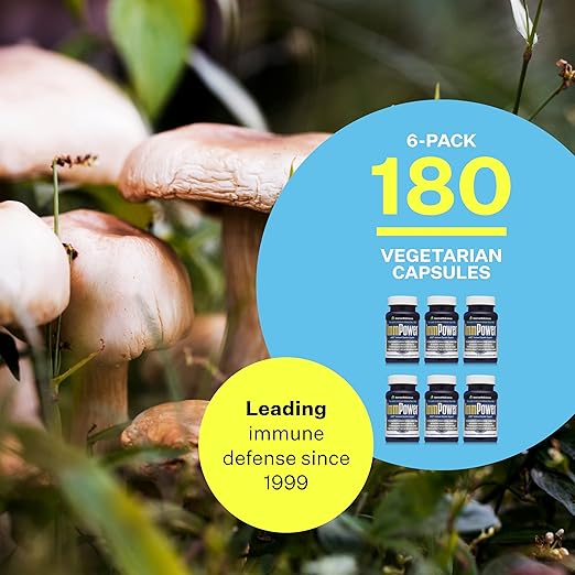 American BioSciences ImmPower AHCC Mushroom Supplement 6-Pack Enhanced Immune Support Natural Killer Cell Activity and Cytokine Production 30 Vegetarian Capsules 500 milligrams per Capsule