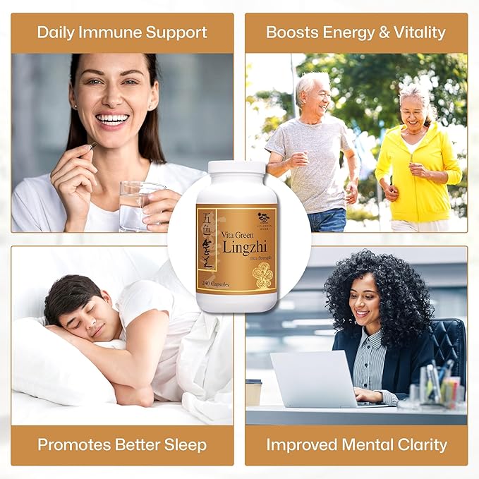 Vita Green Lingzhi Mushroom Supplement (五色靈芝) – Pure Reishi with Natural Antioxidants for Wellness Energy and Immune Support for Men &amp Women – 240 Capsules