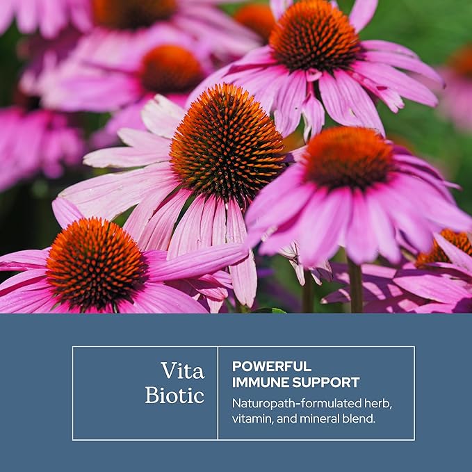 Eclectic Herb - Vitabiotic Capsules | Immune Support | Natural Herbal Multivitamin Supplement | Freeze Dried Organic Non-GMO Vegan Whole Herb (150 CT | 750 mg)