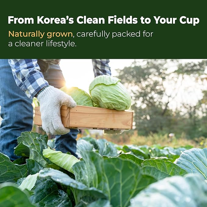 TerraPick Korean Cabbage Extract– Gut Health &amp Digestion Support 100% Pure Cabbage Extract No Additives or Preservatives Daily Alkaline Wellness Drink (30 Pouches)