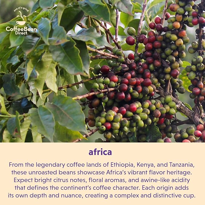 Coffee Bean Direct Unroasted Organic Fair Trade Ethiopian Yirgacheffe 5 Pound (Pack of 1)