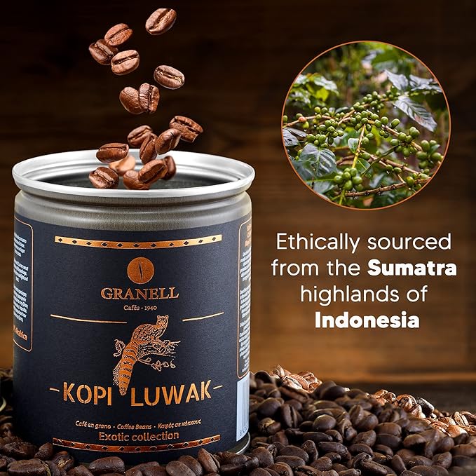 Kopi Luwak Coffee Beans Premium Civet Coffee Luwak Whole Bean Black Ivory Rich Bold Aroma From Indonesia Ultra Smooth Finish Cafés Granell 100g