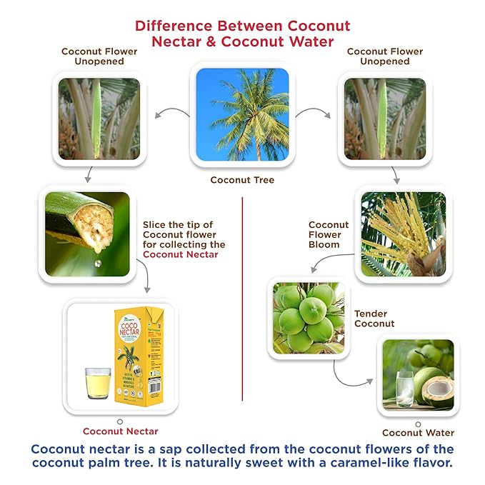 COCO (Coconut) NECTAR - 100% Natural &amp Pure | By Nature Gluten-Free Non-GMO and Vegan | Feel Energized | Kosher| Halal | Natural Wellness Beverage (12 Pack)