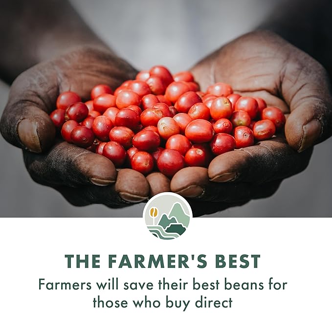 Pachamama Organic Coffee - Medium Roast Whole Bean Coffee Bundle - 2x10 oz bags - Five Sisters + Nicaragua - Farmer Owned &amp Regenerative