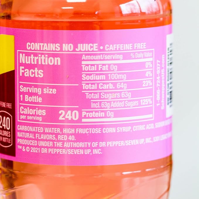 Raspberry Ginger Ale - Refreshing Crisp Delicious - 12 20oz Bottles