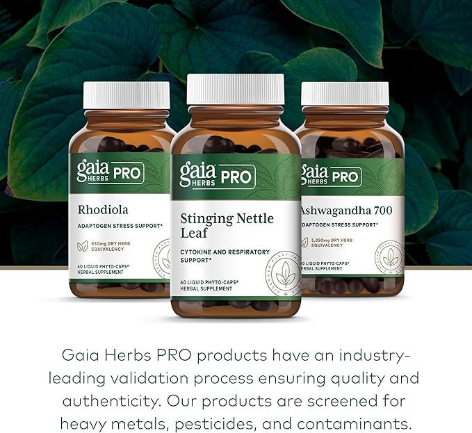 Gaia Herbs Stinging Nettle Leaf - Supplement with Stinging Nettle Leaf Extract Traditionally Used for Respiratory &amp Immune Support* - Vegan Gluten-Free Soy-Free - 60 Liquid Phyto-Caps (30 Servin