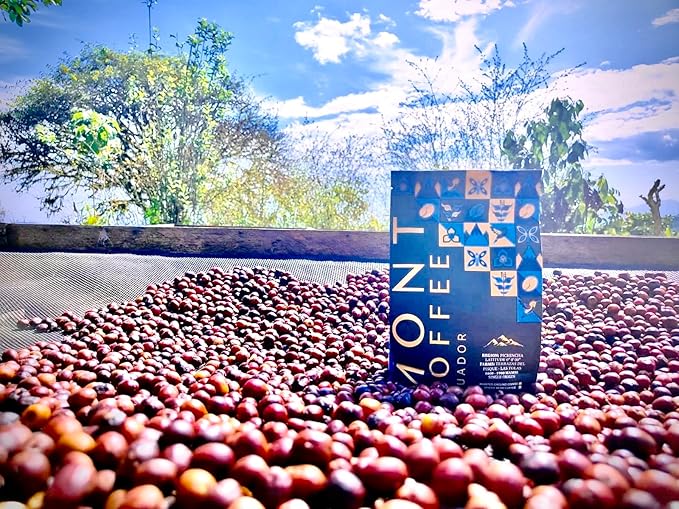 Mont Coffee Ecuador | Pichincha Region | 100% Arabica | Limited Deluxe Coffee | Medium Roast | Premium | Fresh Roast | Sourced Directly from Our Farms | Latitude 0.0'00