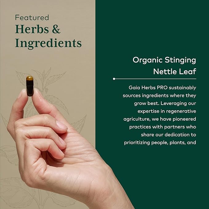 Gaia Herbs Stinging Nettle Leaf - Supplement with Stinging Nettle Leaf Extract Traditionally Used for Respiratory &amp Immune Support* - Vegan Gluten-Free Soy-Free - 60 Liquid Phyto-Caps (30 Servin