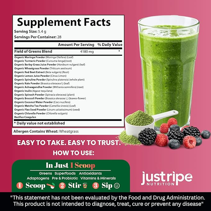 Field of Greens - Greens Powder Organic Daily Super Greens Powder Drink with Moringa Spirulina Wheat Grass Barley Grass Lemon Beet Root for Daily Nutrition - 28 Scoops (Mixed Berry Flavor)