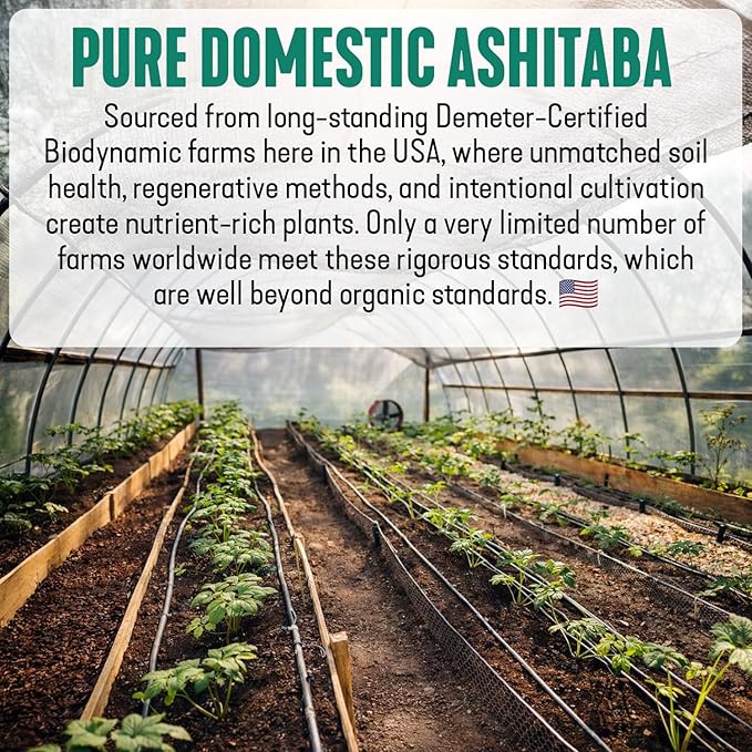 Dr. Cowan's Garden Ashitaba Powder – Premium Sun-Dried Ashitaba Leaves – Small-Batch Herbal Superfood – Pure Ashitaba Powder for Daily Vitality Digestion Support (20 Servings)