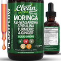 Clean Nutra Moringa Supplement Drops Ashwagandha Spirulina Chlorella Turmeric &amp Ginger Liquid Barley Grass with Chlorophyll Blue Green Algae Vitamin C Antioxidant Holy Basil Ceylon Cinnamon PlantF