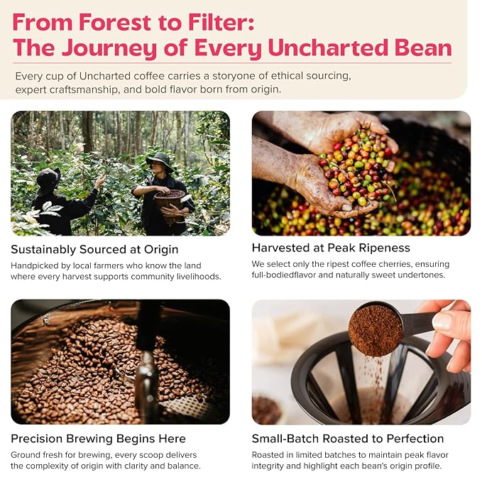 Single-Origin Organic Coffee Beans Gift Box Light Medium or Dark Roast Organic Whole Bean Coffee 3 Pack Explorer 1779 Costa Rica by Uncharted Coffee