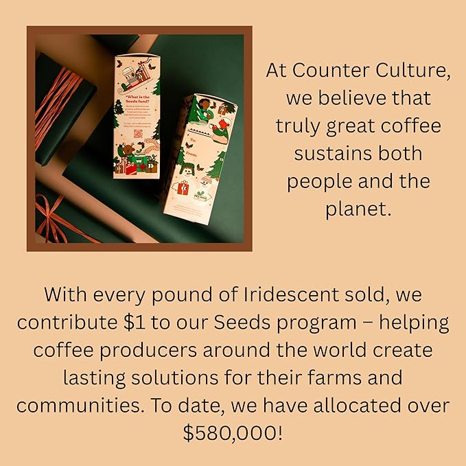 Counter Culture Coffee Iridescent Holiday Coffee Blend - Medium Light Roast Sustainably Farmed Kosher Whole Bean Coffee 12 oz