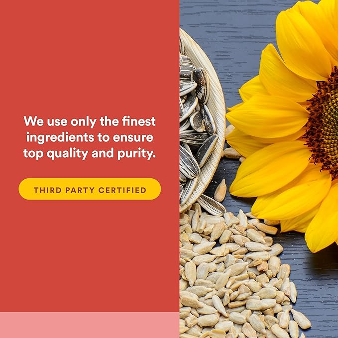 Natural Factors PQQ-10 Supports Energy and Healthy Aging Dietary Supplement 30 softgels (30 servings)