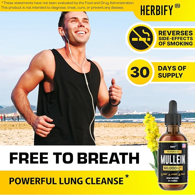 HERBIFY Mullein Extract 2 oz Tincture for Respiratory Health Mullein Leaf and Flowers Blend (Verbascum Densiflorum)