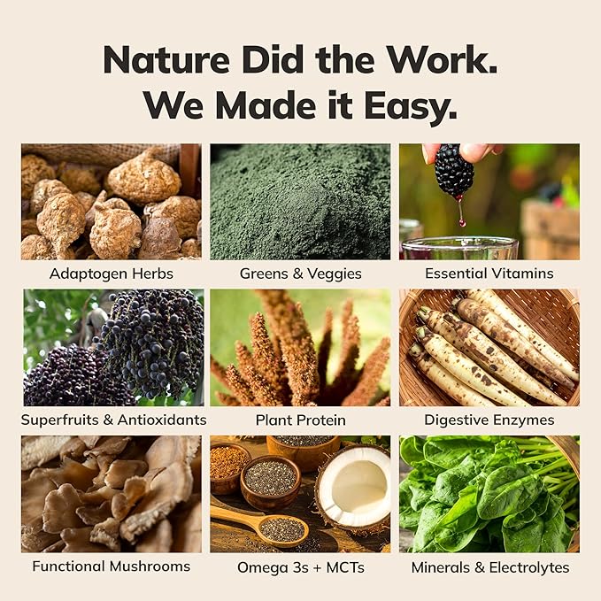 Ka’Chava Whole Body Meal Shake Chocolate Mint 2 lb – Vegan Protein Powder with 85+ Superfoods &amp Greens – Plant-Based Meal Replacement with Probiotics &amp Digestive Enzymes – Gluten &amp Dairy F
