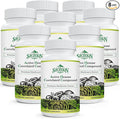 Active Hexose Correlated Compound 1500 mg Supplement Natural 8 Mushroom Extract Supplement Immune System Liver Function Natural Killer and T Cells Activity 720 Veggie Capsules
