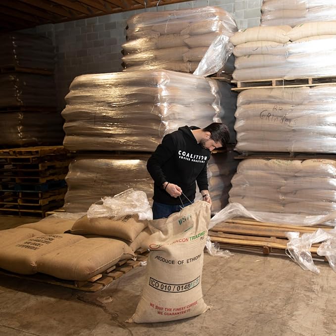Coalition Coffee Roasters Drip Ground Coffee Blend - Specialty Fresh Roasted Coffee Grounds - Specialty (Pack of 2 12 oz)