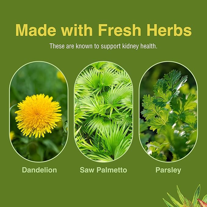 Herbs Etc. Kidney Tonic Softgels - Function Supplement - Natural with Dandelion Saw Palmetto &amp Parsley - 60 Softgels (60 Servings)