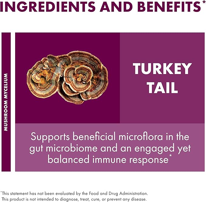 Host Defense Turkey Tail Mushroom Powder - Digestive Health &amp Immune Response Support Supplement - Mushroom Supplement for Gastrointestinal &amp Gut Microbiome Support - 3.5 oz (66 Servings)*