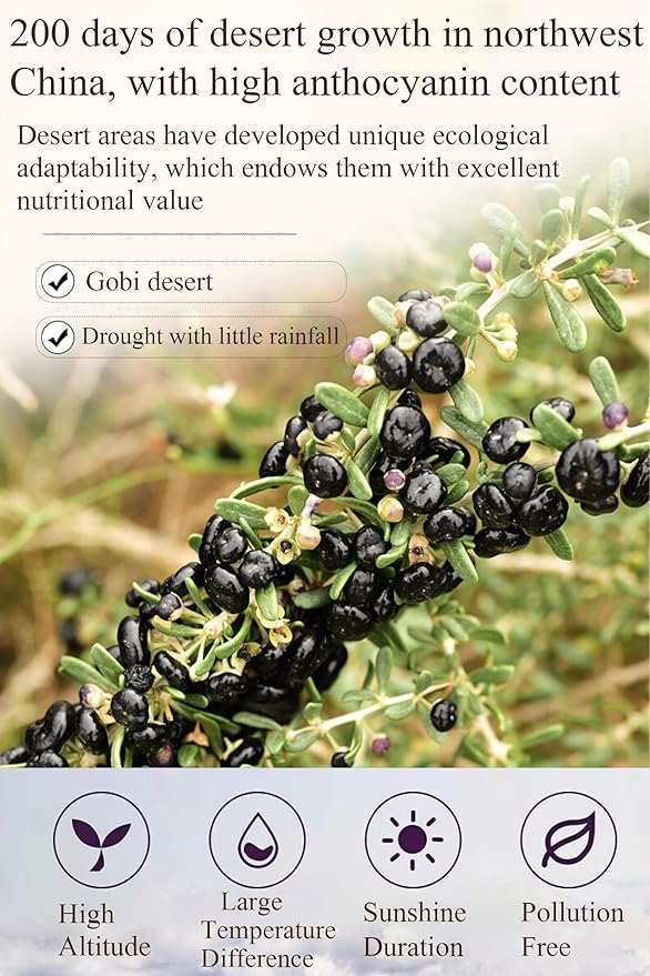 Black Goji Berry Tea 8.5oz/240g Black Wolfberry Dried Goji Berries Fruit Lycium Barbarum Chinese Herbal Tea Caffeine-free Vegetarian Friendly 黑枸杞 枸杞