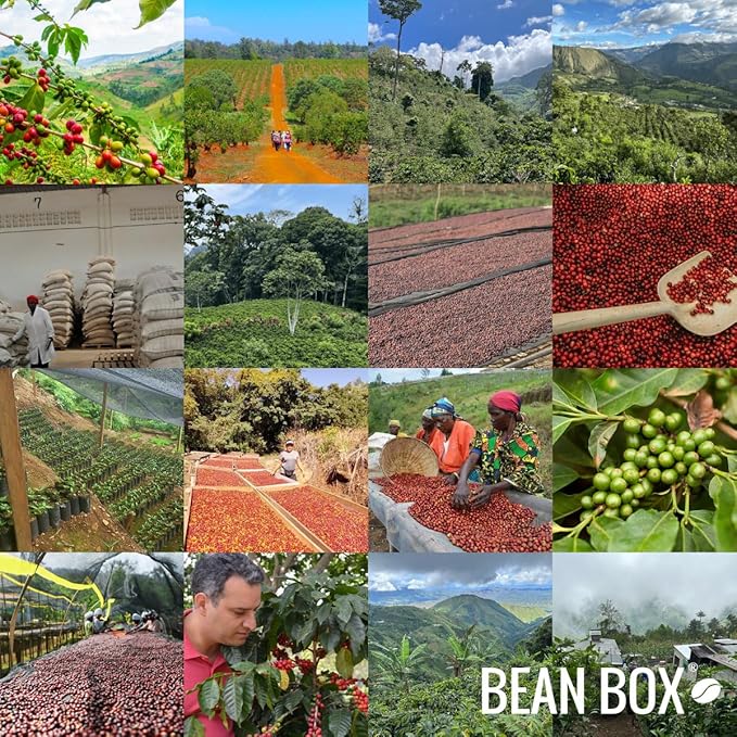 Creamery Blend - Roasted by Ruby Coffee Roasters - Whole Bean Coffee - 12 Ounce Bag