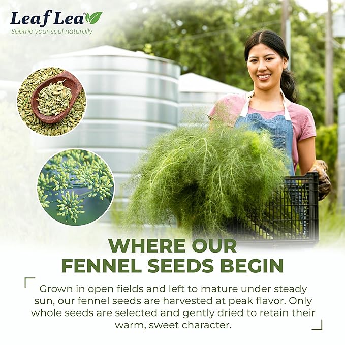 LeafLea 80 Premium Fennel Tea Bags Pure Dried Fennel Seed Tea Daily Ease &amp Balance Naturally Sweet Taste Caffeine-Free Sugar-Free Non-GMO Vegan Individually Wrapped