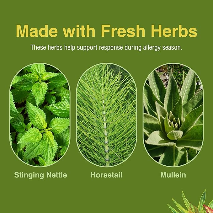 Herbs Etc. Allergy ReLeaf System - Seasonal Discomfort Supplement - Provides Seasonal Support for Sneezing &amp Itchy Eyes - Supports Sinus Function - 60 Softgels (60 Servings) 60 Tablets (60 Servin