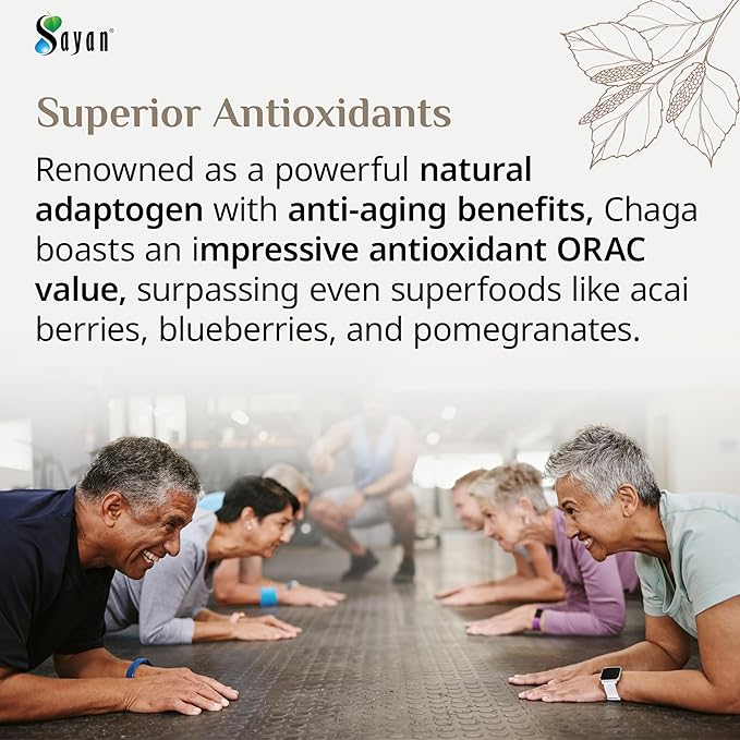 Sayan Siberian Pure Raw Coarse Chaga Powder 4 Oz / 113g – Premium Wild Forest Harvested Super Antioxidant Tea – Supports Immune System and Digestive Health – Focus Energy Clarity Wellness - Non-GMO