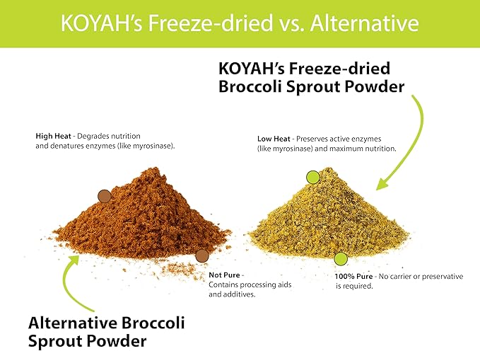 KOYAH - Organic USA Broccoli Sprout Powder (1 Scoop = 1/4 Cup Sprouts): 36 Servings Freeze-Dried Tested for Active Myrosinase and Glucoraphanin (Sulforaphane Glucosinolate)