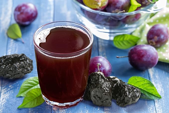 Orchard Splash Prune 100% Juice Based Concentrate 25oz (12 Cartons per Case)