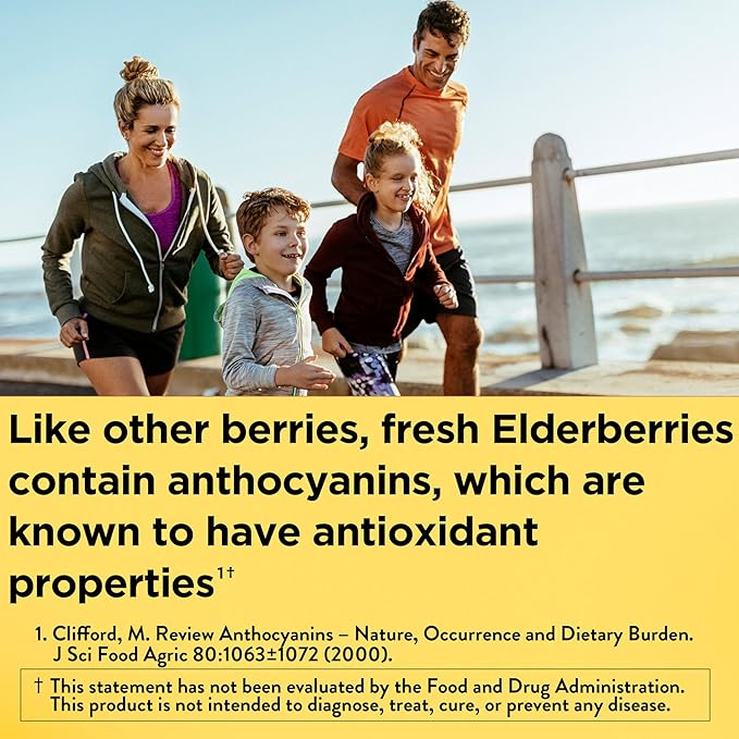 Nature Made Elderberry Gummies with Vitamin C and Zinc Dietary Supplement for Immune Support 100 Elderberry Gummies 50-Day Supply