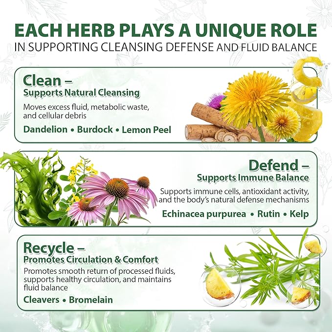 Lymphatic Drainage Capsules Natural Herbal Supplement for Immune Health &amp Fluid Balance with Echinacea Dandelion and Burdock 180 Capsules