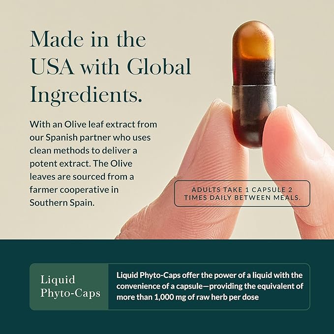 Gaia Herbs Olive Leaf - Traditional Immune Health Support - Immune System Supplement with Olive Leaf Extract &amp Oleuropein* - 120 Vegan Liquid Phyto-Caps (120 Servings)