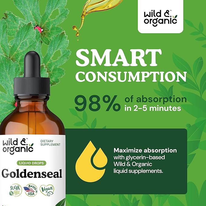 Wild &amp Organic Goldenseal Tincture - Lung &amp Digestive Support - Goldenseal Root Extract Liquid Drops - Vegan Sugar &amp Alcohol-Free Herb Supplement - 4 fl oz