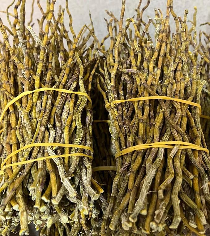 Dendrobium Stems（Tie Pi Shi Hu） Dried Dendrobium Officinale Stems -7.05oz/200g-Pure Natural Chinese Herbal Medicine -石斛条- Teas-Soup Ingredients (Dendrobium Stems) ﻿
