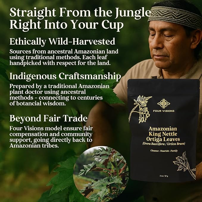 Four Visions Amazonian King Nettle Tea – Wild-Harvested Organic Loose Leaf Ortiga (Urera Baccifera) for Inflammation Hormone Balance Blood Pressure Detox &amp Seasonal Allergy Support