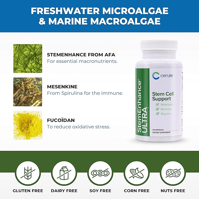 Cerule StemEnhance Ultra Natural Stem Cell Support Supplement – Freshwater Microalgae and Marine Macroalgae Extracts for Cellular Renewal Immune Function Energy and Tissue Recovery – 60 Capsules