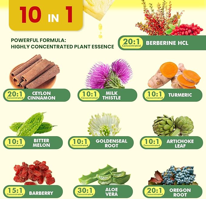 Berberine Supplement with Ceylon Cinnamon - Berberine Liquid Drops with Turmeric Curcumin Ceylon Cinnamon Bitter Melon Berberine Phytosome for Digestion System Immune Health Support -Vegetarian