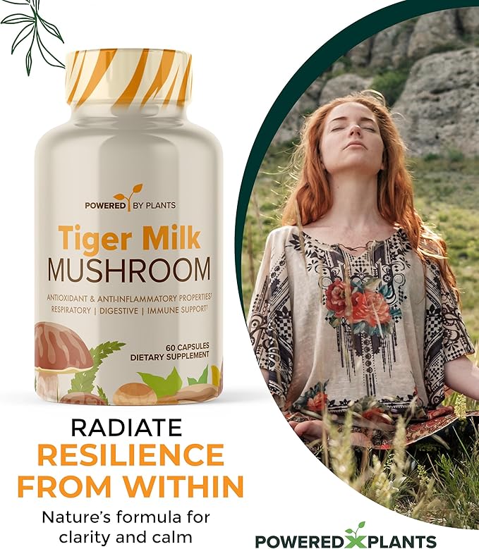 Tiger Milk Mushroom Supplement - 500mg Per Capsule with 50% Beta-Glucan - Supports Respiratory Function Cognitive Clarity Digestive Balance &amp Immune Wellness - 60 Count