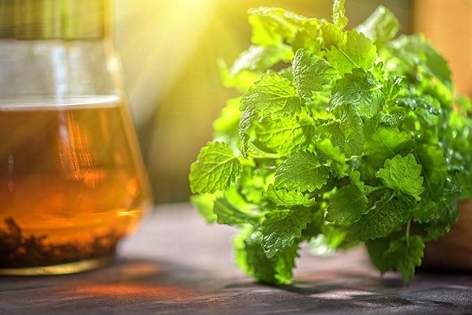 Lemon Balm (Herbal Tea): (Melissa Officinalis Caffeine Free) - Balm Leaf (Cut and Sifted) 1lb (16Oz) U.S. Wellness Bulk Tea